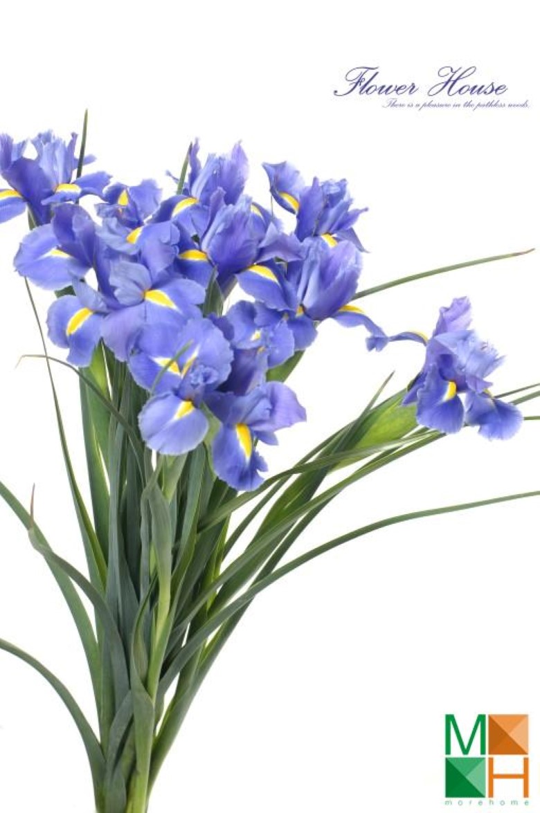 Tranh dán tường phòng ngủ đẹp tại Hà Nội FW - 022